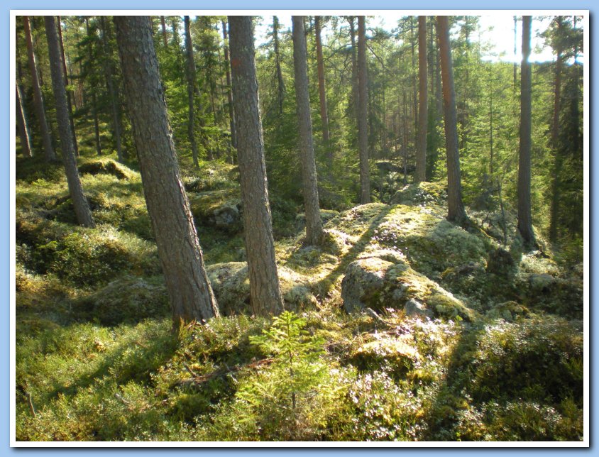 vatpakka 172